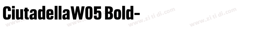 CiutadellaW05 Bold字体转换